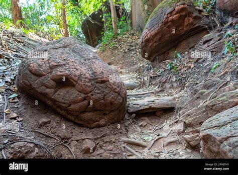 naka cave thailand snake|This Giant Snake Rock in Thailand Is a Fascination of。